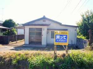 P1030638 (800x600)