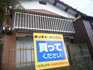 P1040342 (800x600)