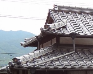 DSC065812
