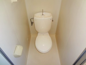 DSC071254