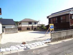 DSC063531
