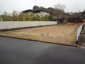 DSC00870