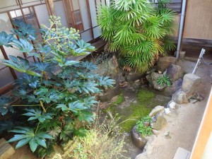 DSC0826655 (9)