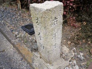 IMGP0181