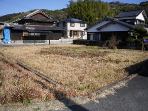 IMGP0254