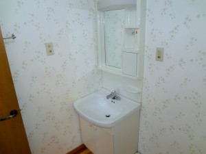 DSC06170