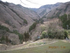 IMG_06462
