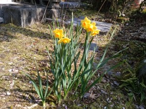 IMG_20160305_135757
