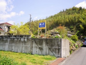IMGP0379