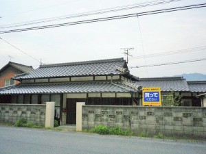 IMGP0519