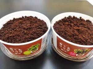 IMG_20160421_193852