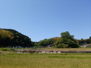IMG_20160501_104238