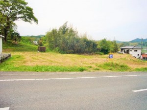 P1030365 (800x600)22