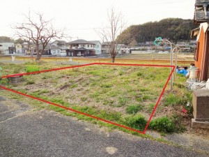 DSC0838722 (1)