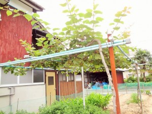 DSC09353