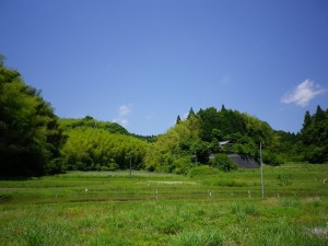 IMGP0684