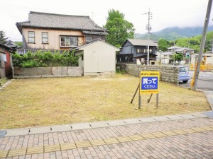 IMGP0765