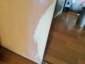 IMG_20160611_090235