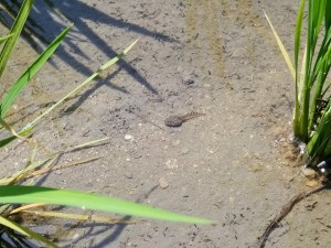 IMG_20160623_140724
