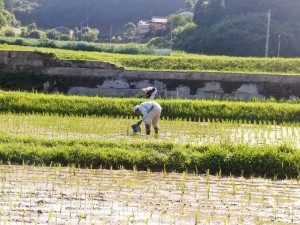 IMG_20160626_155058