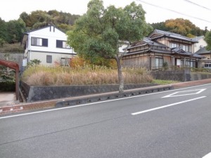 DSC08458222