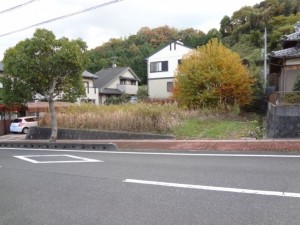 DSC0846022
