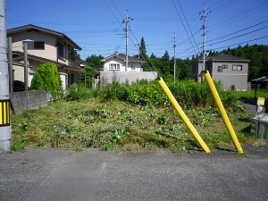 IMGP0891