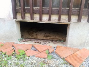 IMG_20160705_154804