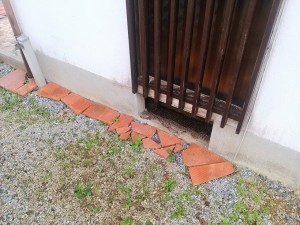 IMG_20160705_154814
