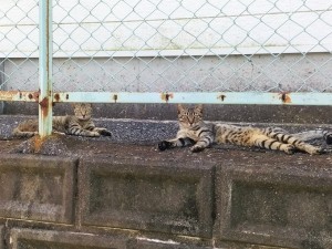 IMG_20160717_120513