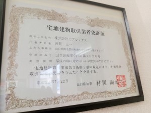 IMG_20160721_180403