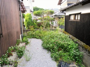 IMGP0786