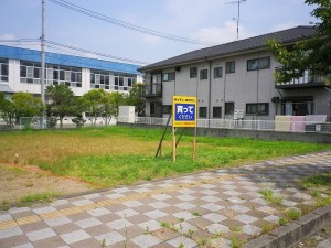 IMGP1093