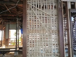 IMGP1274