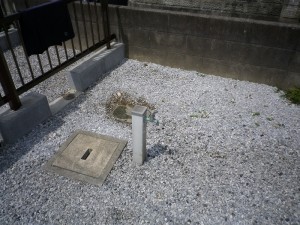 IMGP1313