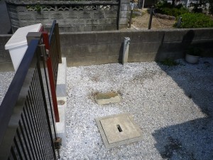IMGP1325