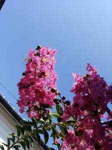 IMG_20160808_144846