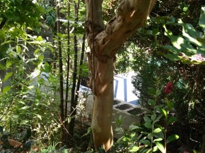 IMG_20160808_144919