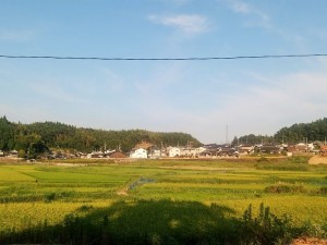 IMG_20160810_173706