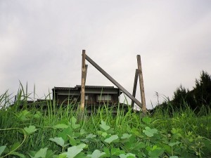 IMGP1443