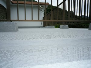 IMGP1452
