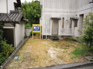 IMGP1599