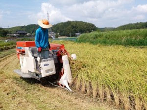 IMG_20160906_133839