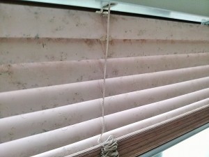 IMG_20160912_090211