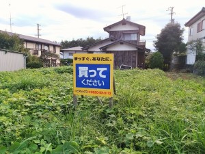 IMG_20160921_064603