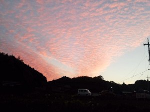 IMG_20161014_174740