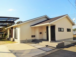 DSC00956555 (1)