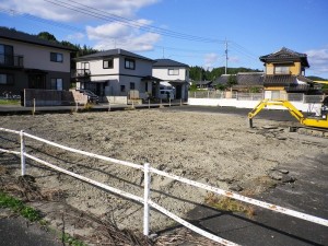 IMGP2369