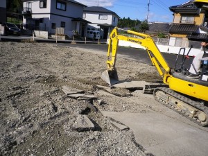 IMGP2371