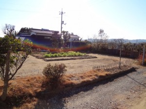 DSC00313222
